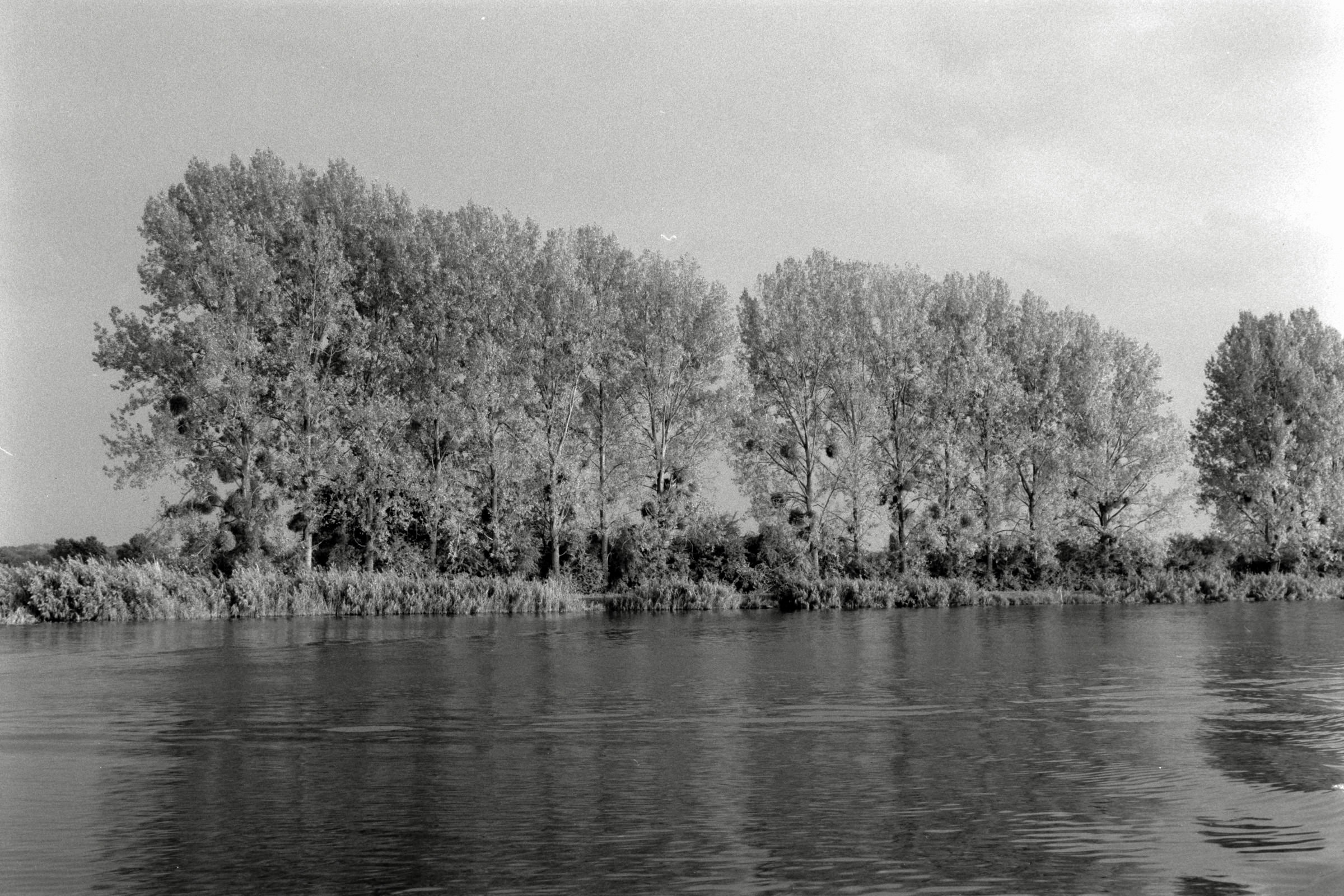 AHP F1990 09 004 sc250506 img30 NLP